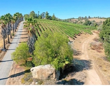 39850 Kapalua Way - Photo Thumbnail 27