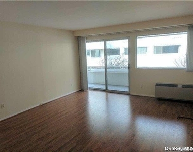 88 Cuttermill Road - Photo Thumbnail 4