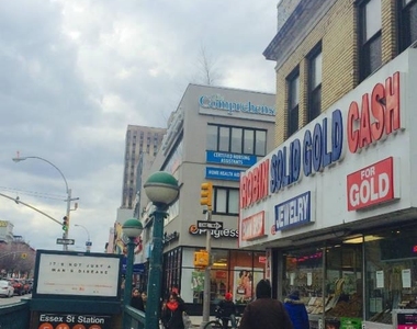 87 Clinton Street - Photo Thumbnail 22