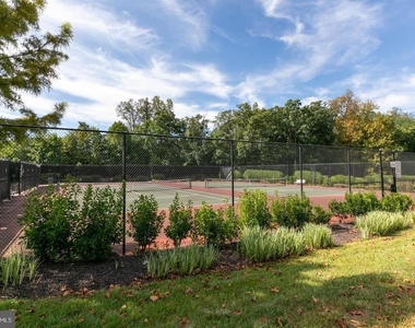 3738 Freehill Lane - Photo Thumbnail 46