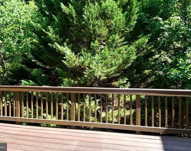 7810 Locust Leaf Lane - Photo Thumbnail 40