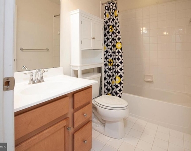 244 Macdonald Avenue - Photo Thumbnail 19