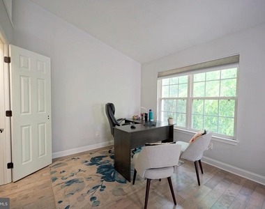 16 Buckingham Place - Photo Thumbnail 36