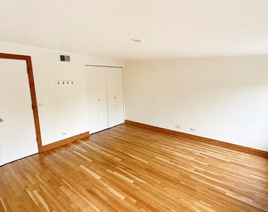 534 W Dickens Street - Photo Thumbnail 14