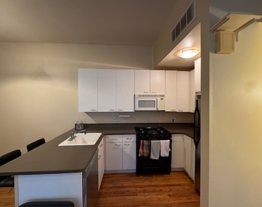 616 N Paulina Street - Photo Thumbnail 6
