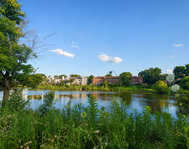 900 Ashley Court - Photo Thumbnail 31