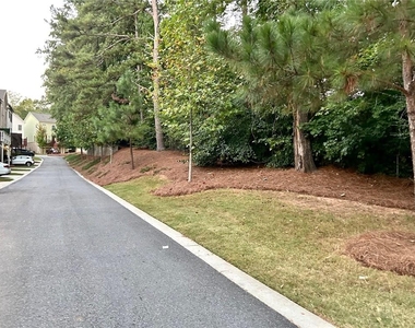 491 Suwanee Pass Trail - Photo Thumbnail 11