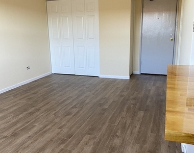 6030 N Kenmore Avenue - Photo Thumbnail 4