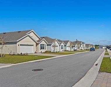 24055 Peaceful Brook Loop - Photo Thumbnail 3
