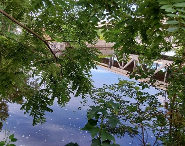 151 Buck - Photo Thumbnail 8
