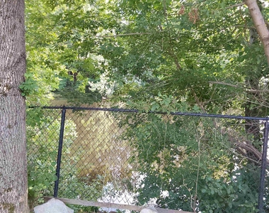 151 Buck - Photo Thumbnail 21
