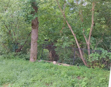 151 Buck - Photo Thumbnail 7