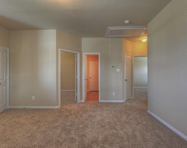 17131 Devon Dogwood Trail - Photo Thumbnail 12