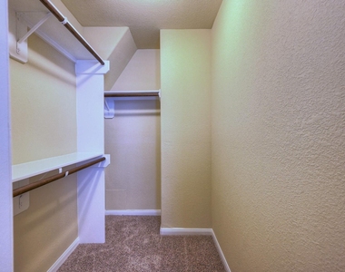 17131 Devon Dogwood Trail - Photo Thumbnail 14