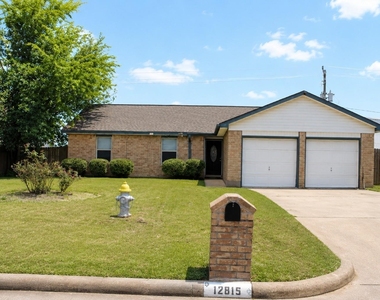 12815 Venice Lane - Photo Thumbnail 1