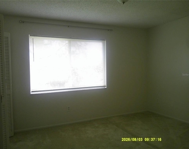 291 Flower Lane - Photo Thumbnail 14