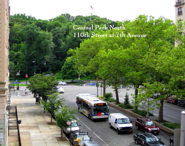 218 West 113th Street - Photo Thumbnail 5