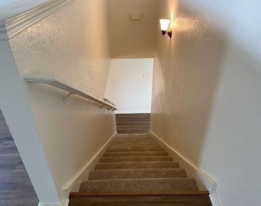 1101 Mustang Ridge Drive - Photo Thumbnail 14