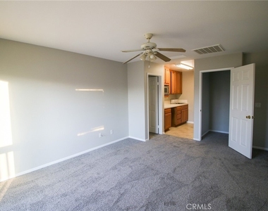 29113 Peppergrass Avenue - Photo Thumbnail 20