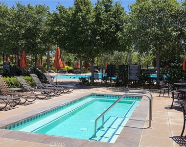 64 Savannah - Photo Thumbnail 26
