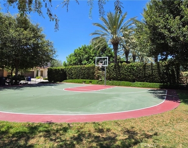 64 Savannah - Photo Thumbnail 27