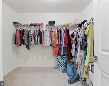 43450 Sweet Brandy Terrace - Photo Thumbnail 28