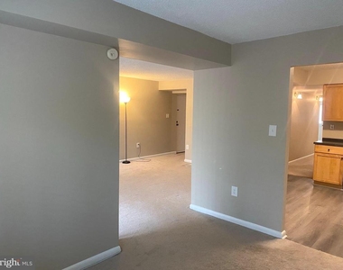 11723 Karbon Hill Court - Photo Thumbnail 16