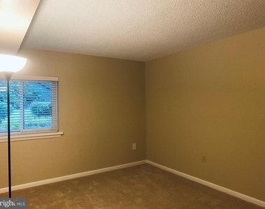 11723 Karbon Hill Court - Photo Thumbnail 42