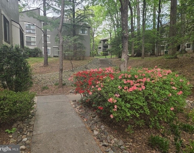 11723 Karbon Hill Court - Photo Thumbnail 58
