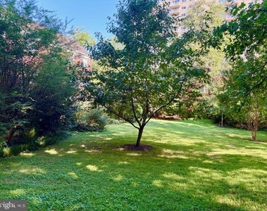 1244 Martha Custis Drive - Photo Thumbnail 21