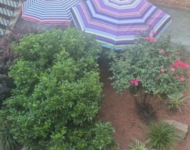 505 Meadow Woods Lane - Photo Thumbnail 1