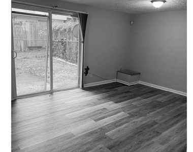 1904 Eloise Lane - Photo Thumbnail 4