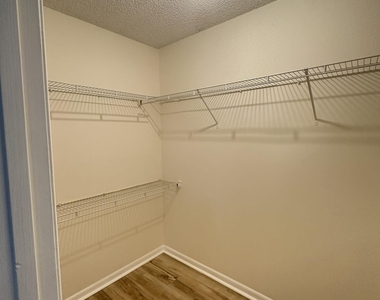 4790 Cinnamon Fern Drive - Photo Thumbnail 9