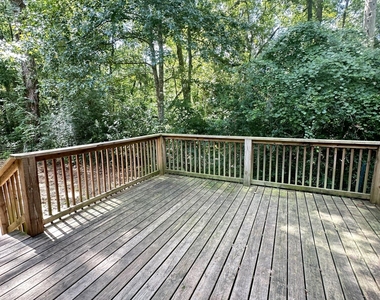4790 Cinnamon Fern Drive - Photo Thumbnail 1