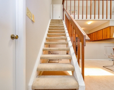 6211 Ludington Drive - Photo Thumbnail 21