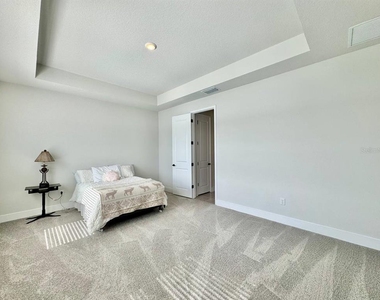 11393 Hardwood Hammock Lane - Photo Thumbnail 21