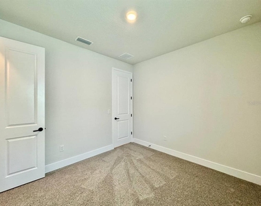 11393 Hardwood Hammock Lane - Photo Thumbnail 32