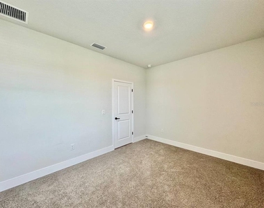 11393 Hardwood Hammock Lane - Photo Thumbnail 46