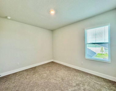 11393 Hardwood Hammock Lane - Photo Thumbnail 47