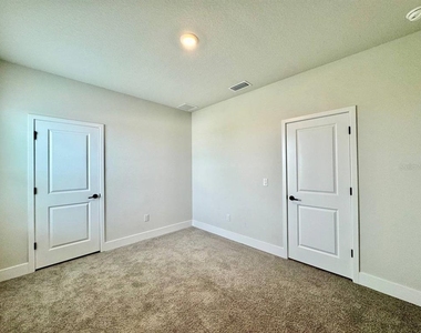 11393 Hardwood Hammock Lane - Photo Thumbnail 48