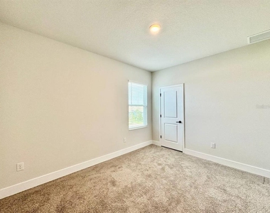 11393 Hardwood Hammock Lane - Photo Thumbnail 45