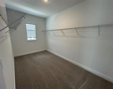 16902 Hamlin Oasis Loop - Photo Thumbnail 14