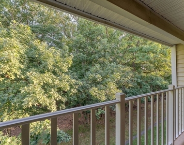 4006 Crawford Ct - Photo Thumbnail 17