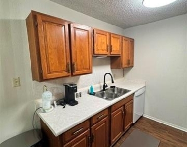 985 Minter Lane - Photo Thumbnail 3