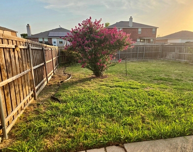 1217 Evergreen Street - Photo Thumbnail 15