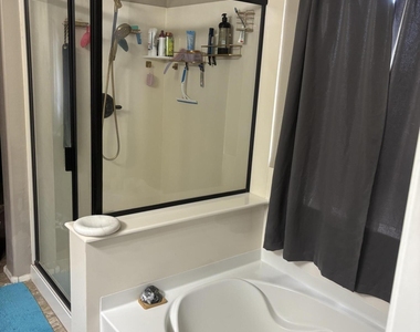 28311 N Cactus Flower Circle - Photo Thumbnail 10