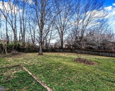 10704 Live Oak Court - Photo Thumbnail 25