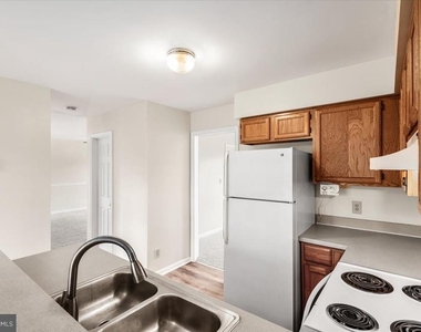 10704 Live Oak Court - Photo Thumbnail 8