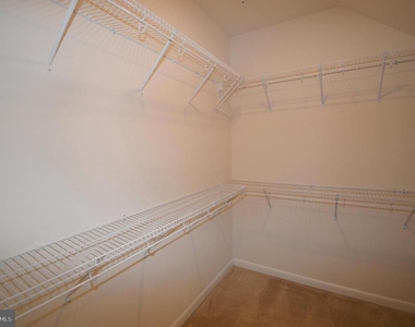 20508 Milbridge Terrace - Photo Thumbnail 23