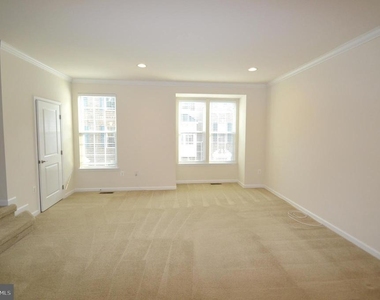 42618 Drazenovich Epoch Terrace - Photo Thumbnail 20